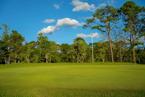 Green grass and woods on a golf field. Green grass and woods on a golf field. View of Golf Course with beautiful putting green. Golf course with a rich green turf beautiful scenery.