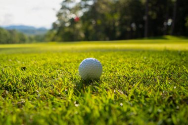 Golf topu yeşil çimlerin üzerinde sabah güneşli güzel bir golf sahasında. Dünyanın dört bir yanındaki insanların sağlık için oynadığı ilk kısa süreli golfe hazırım..