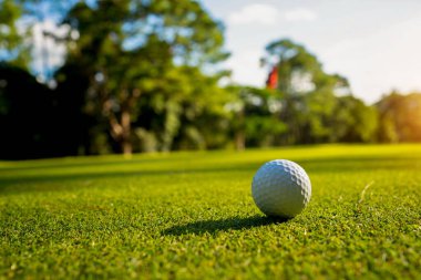 Golf topu yeşil çimlerin üzerinde sabah güneşli güzel bir golf sahasında. Dünyanın dört bir yanındaki insanların sağlık için oynadığı ilk kısa süreli golfe hazırım..