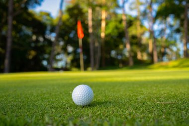 Golf topu yeşil çimlerin üzerinde sabah güneşli güzel bir golf sahasında. Dünyanın dört bir yanındaki insanların sağlık için oynadığı ilk kısa süreli golfe hazırım..