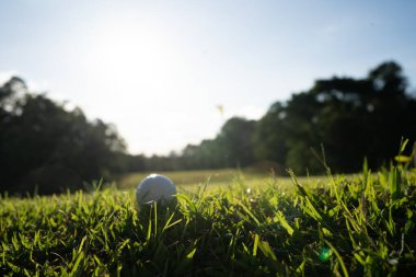 Akşam golf sahasında golf topu ve Tayland 'da güneş ışığı. Golf topu yeşil çimlerin üzerinde sabah güneşiyle birlikte güzel bir golf sahasında. İlk kısa devrede golfe hazır.. 