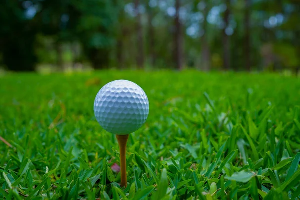 Close Bola Golfe Tee Belo Campo Golfe Pôr Sol Fundo — Fotografia de Stock