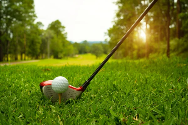 Golfclub Bal Groen Gras Golfballen Golfbaan Met Golfclubs Klaar Voor — Stockfoto
