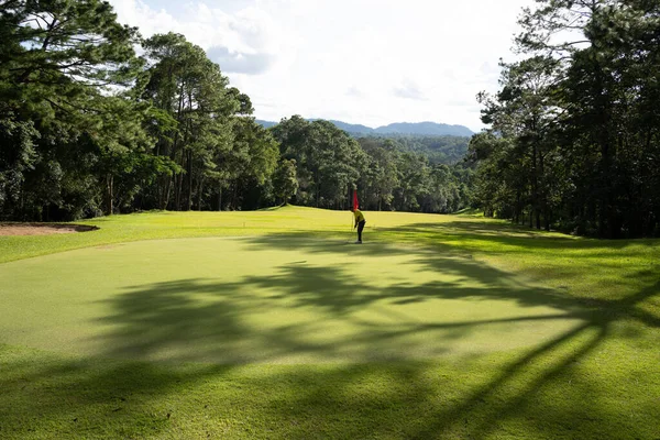 Suddig Golfare Spelar Golf Kvällen Golfbana Solnedgången Kvällstid — Stockfoto