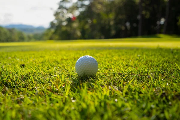 ゴルフボールは朝の日差しが美しいゴルフコースの緑の芝生の上にあります 世界中の人々が健康のための休日の間にプレイするスポーツ — ストック写真