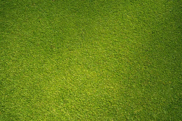 緑の芝生の背景 緑の背景を作るために使用される庭の明るい草の概念のトップビューの背景 スポーツフィールドのための芝生 ゴルフコースの芝生の緑の縞模様のテクスチャの背景 — ストック写真