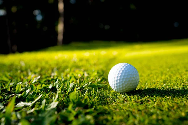 Golflabda Egy Zöld Gyepen Egy Gyönyörű Golfpályán Reggeli Napsütéssel Készen — Stock Fotó