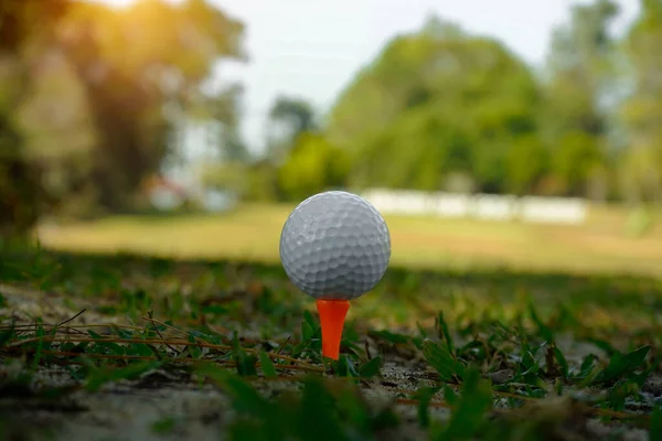 Bola Golfe Branco Tee Grama Verde Campo Golfe Com Espaço — Fotografia de Stock