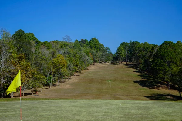高尔夫球场上的绿草和树林 高尔夫球场上的绿草和树林 高尔夫球场绿树成荫 绿树成荫 高尔夫球场绿树成荫 风景秀丽 — 图库照片