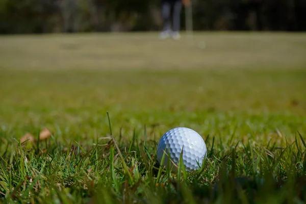 ゴルフボールは朝の日差しと美しいゴルフコースの緑の芝生の上にあります — ストック写真