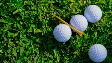 Golf topu yeşil çimlerin üzerinde, golf sahasında, arka planda güneş ışığı var. Yeşil çimlerin üzerindeki deliğin kenarındaki golf topu sıcak bir tonla ve günbatımıyla..                                