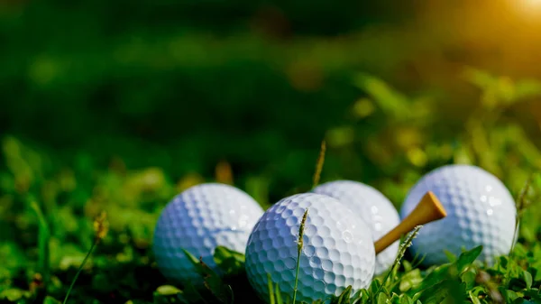 Pallina Golf Erba Verde Nel Campo Golf Serale Con Sfondo — Foto Stock