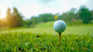 Golf topu yeşil çimlerin üzerinde, golf sahasında, arka planda güneş ışığı var. Yeşil çimlerin üzerindeki deliğin kenarındaki golf topu sıcak bir tonla ve günbatımıyla..                               