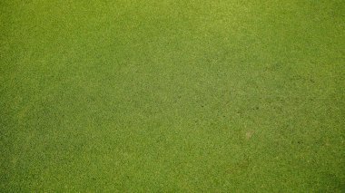 Yeşil çimen arka plan, bahçe manzarası yeşil arka plan yapmak için kullanılan parlak çimen konsepti, spor alanı için çimen, golf sahası yeşil çizgili doku arka plan                                