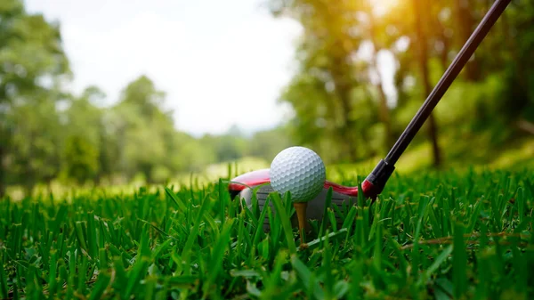 在泰国一个漂亮的高尔夫球场 高尔夫球和高尔夫球杆 绿色背景草坪上的高尔夫球具收集 — 图库照片