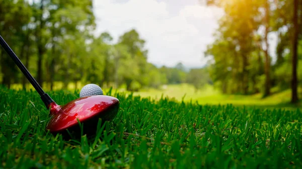 Golf Labda Golf Klub Egy Gyönyörű Golfpálya Thaiföldön Gyűjteménye Golf — Stock Fotó