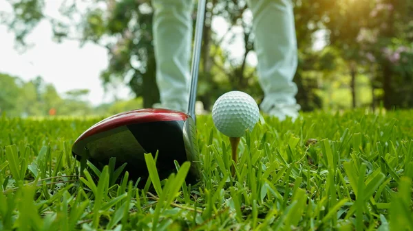 Golfboll Och Golfklubb Vacker Golfbana Thailand Insamling Golfutrustning Vilar Grönt — Stockfoto