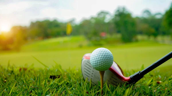 Golf Labda Golf Klub Egy Gyönyörű Golfpálya Thaiföldön Gyűjteménye Golf — Stock Fotó