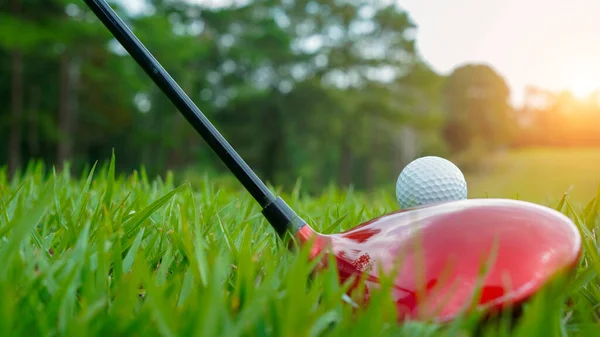タイの美しいゴルフコースでゴルフボールやゴルフクラブ 緑の背景を持つ緑の芝生の上に休憩ゴルフ用品のコレクション — ストック写真