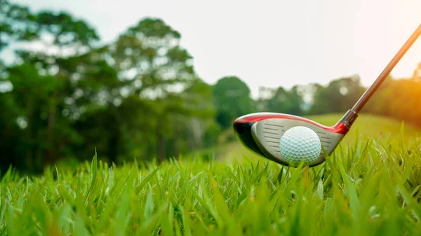 Golfball Und Golfschläger Auf Einem Wunderschönen Golfplatz Thailand Sammlung Von — Stockfoto