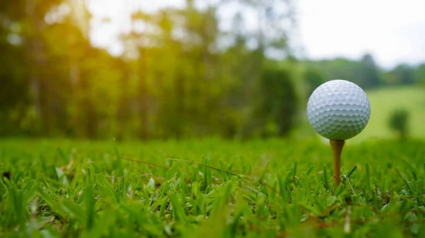 日光の背景を持つ夕方のゴルフコースの緑の芝生の上のゴルフボール 暖かいトーンと日没と緑の芝生の上の穴の端にゴルフボール — ストック写真