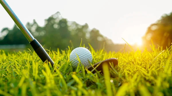 Golfboll Och Golfklubb Vacker Golfbana Thailand Insamling Golfutrustning Vilar Grönt — Stockfoto