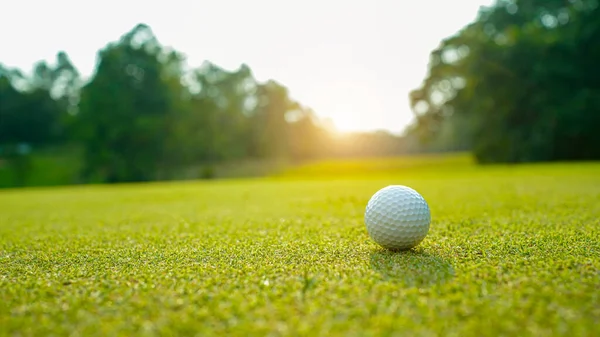 Golf Labda Zöld Esti Golfpálya Napsütéses Háttér Golf Labda Szélén — Stock Fotó