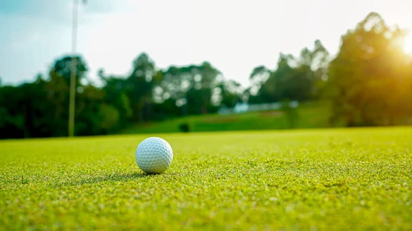 Golfboll Grönt Gräs Kvällen Golfbana Med Solsken Bakgrund Golfboll Kanten — Stockfoto