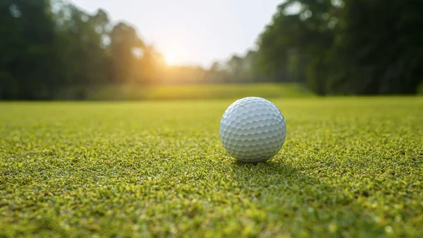 Pelota Golf Césped Verde Campo Golf Por Noche Con Sol —  Fotos de Stock