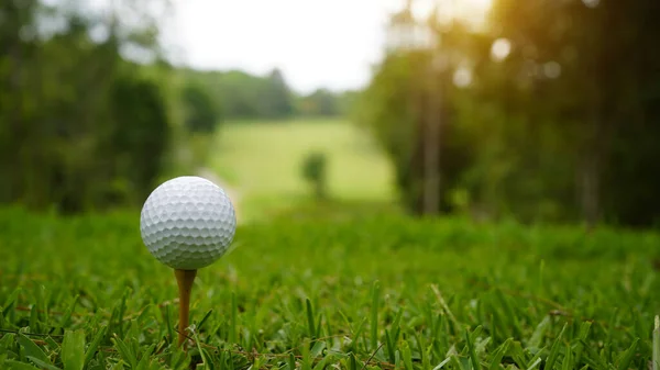 日光の背景を持つ夕方のゴルフコースの緑の芝生の上のゴルフボール 暖かいトーンと日没と緑の芝生の上の穴の端にゴルフボール ストック写真