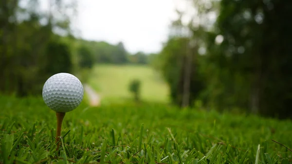 Golf Ball Green Grass Evening Golf Course Sunshine Background Golf — Stock Photo, Image