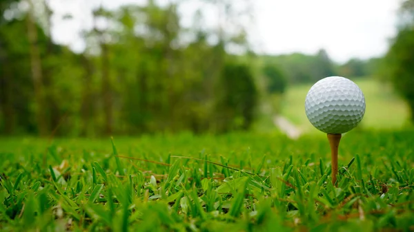 Golfbal Groen Gras Avond Golfbaan Met Zonnige Achtergrond Golfbal Rand — Stockfoto