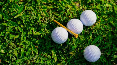 Golf topu yeşil çimlerin üzerinde, golf sahasında, arka planda güneş ışığı var. Yeşil çimlerin üzerindeki deliğin kenarındaki golf topu sıcak bir tonla ve günbatımıyla..                                 