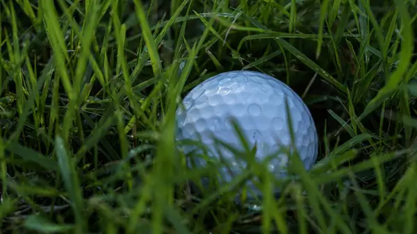 Bola Golfe Está Área Perigo Campo Bola Golfe Está Tee — Fotografia de Stock