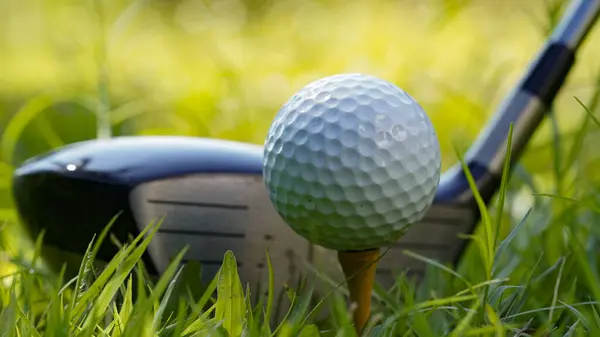 Golf club and golf ball close up in grass field with sunset. Golf ball close up in golf coures at Thailand.