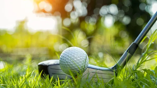 Golf club and golf ball close up in grass field with sunset. Golf ball close up in golf coures at Thailand.
