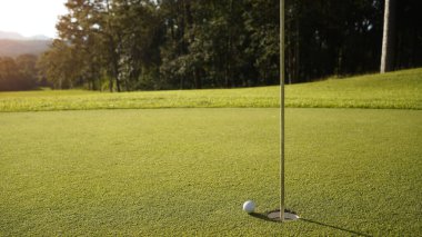 Yeşil sahadaki golf topunun en üst görüntüsü. Golf topu ve golf sopası akşam golf sahasında güneş ışığı altında..                               