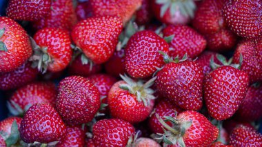 Fresh Strawberry Background, Perfect strawberries, ripe, fresh - food frame, background from freshly harvested strawberries, directly above                               