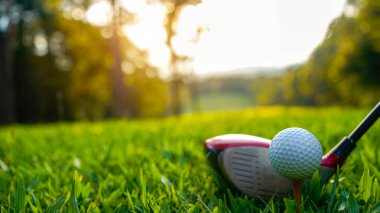 Golf topu ve golf sopası gün batımında arka planda güzel bir golf sahasında. Yeşil arka planda yeşil çimenler üzerinde dinlenen golf ekipmanları koleksiyonu                               