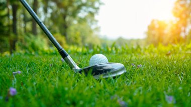 Golf topu ve golf sopası gün batımında arka planda güzel bir golf sahasında. Yeşil arka planda yeşil çimenler üzerinde dinlenen golf ekipmanları koleksiyonu                               