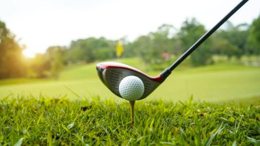 Golf topu ve golf sopası gün batımında arka planda güzel bir golf sahasında. Yeşil arka planda yeşil çimenler üzerinde dinlenen golf ekipmanları koleksiyonu                               