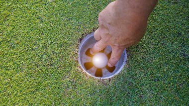 Golfçü topu deliğe soktuktan sonra golf topunu topluyor..                               