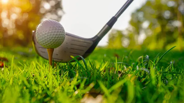 Golf sopası ve top yeşil çimlerde. Golf sahasında golf sopaları ilk kısa devre için hazır. Sabah, güzel güneş ışığıyla..                                