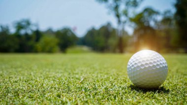 Golf topu yeşil çimlerin üzerinde sabah güneşli güzel bir golf sahasında. İlk kısa devrede golfe hazır..                                 