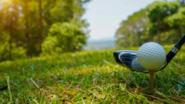 Golf sopası ve top yeşil çimlerde. Golf sahasında golf sopalarıyla golf topları ilk kısa devre için hazır. Sabah, güzel güneş ışığıyla..                                   