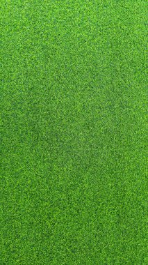 Yeşil çimen arka plan, bahçe manzarası yeşil arka plan yapmak için kullanılan parlak çimen konsepti, spor alanı için çimen, golf sahası yeşil çizgili doku arka plan