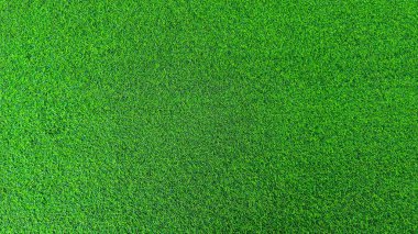 Yeşil çimen arka plan, bahçe manzarası yeşil arka plan yapmak için kullanılan parlak çimen konsepti, spor alanı için çimen, golf sahası yeşil çizgili doku arka plan