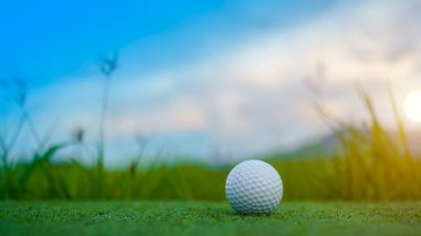 Golf topu yeşil çimlerin üzerinde sabah güneşli güzel bir golf sahasında. İlk kısa devrede golfe hazır..                                