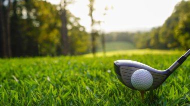 Golf sopaları ve toplar yeşil çimlerde sabah güneşli güzel bir golf sahasında. Yeşil çimlerde golf ekipmanlarını kapatın..                               
