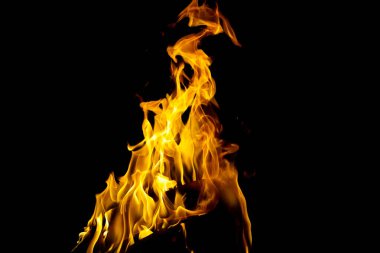 Siyah arka planda izole edilmiş yanan alev ya da yangın. Termal enerji yığını, yakın plan, kırmızı ve sarı, ısı enerjisi gece boyunca yakıyor / ışık siyah arkaplanda                                